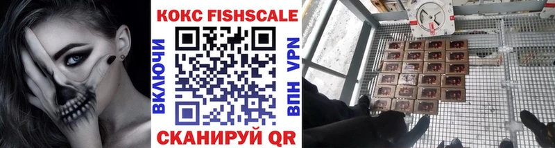 COCAIN Fish Scale  MEGA ссылка  Цоци-Юрт 