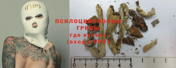 ALPHA PVP Куйбышев