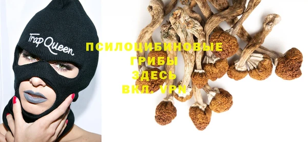 прущие крисы Кукмор