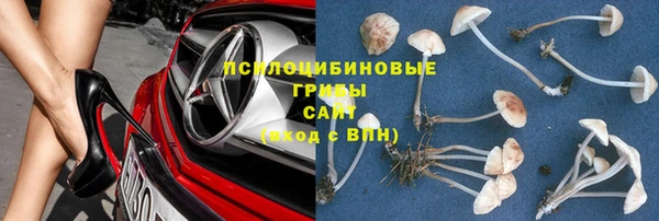 дживик Кулебаки